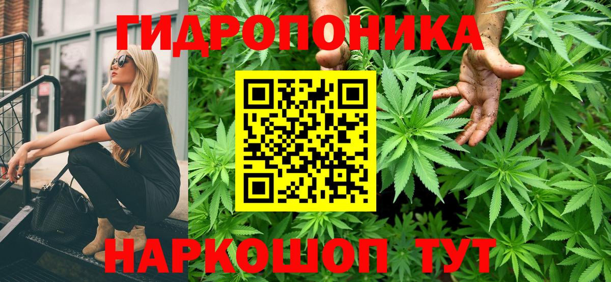 Бошки марихуана Bruce Banner  Каннабис сатива  Лосино-Петровский  Вход с VPN  Шишки марихуана AK-47 